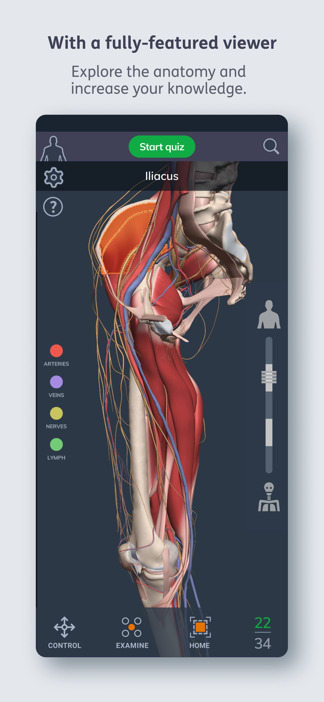 Primal's 3D Human Anatomy Quiz
