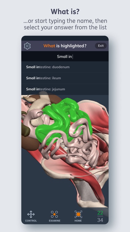 Primal's 3D Human Anatomy Quiz