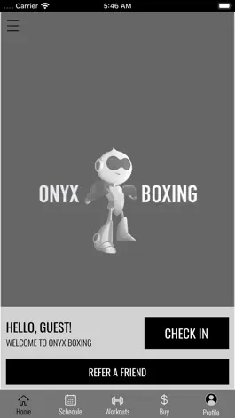 Game screenshot ONYX BOXING apk