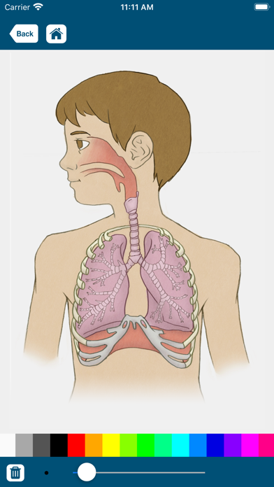 Simply Sayin' Medical Jargon Screenshot