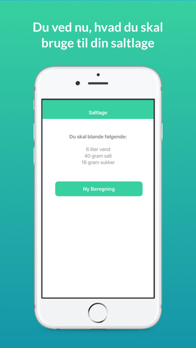 Beregn saltlage Screenshot