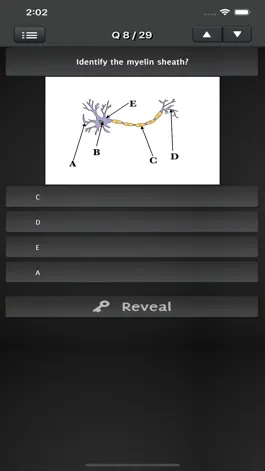 Game screenshot Level 3 Personal Trainer Exam apk