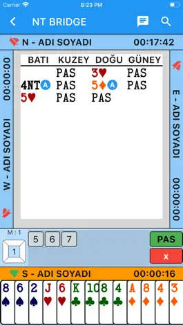 Game screenshot NT Bridge apk