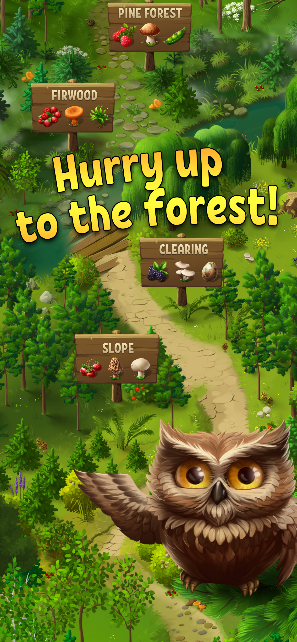 Forest Bounty