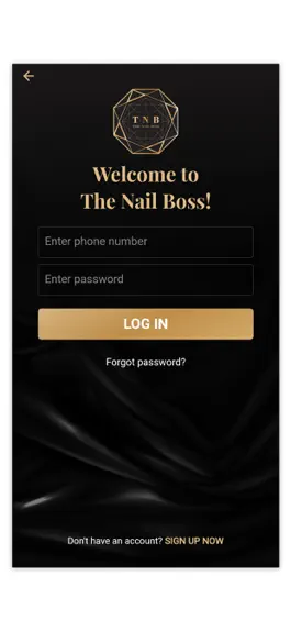 Game screenshot The Nail Boss mod apk