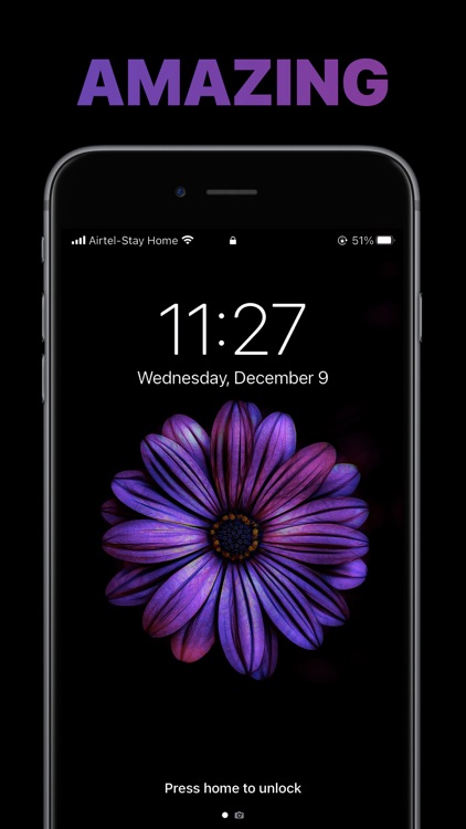 Wallpapers & Background Pro