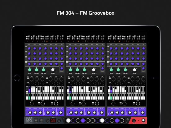 FM 304のおすすめ画像1