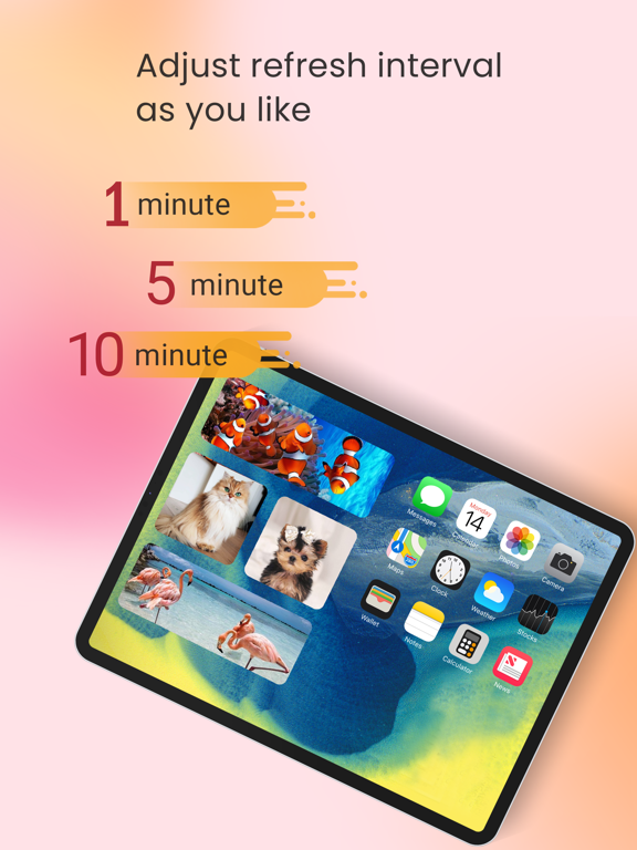 Simple Photo Widget + iPad screenshot 4 - Productivity app