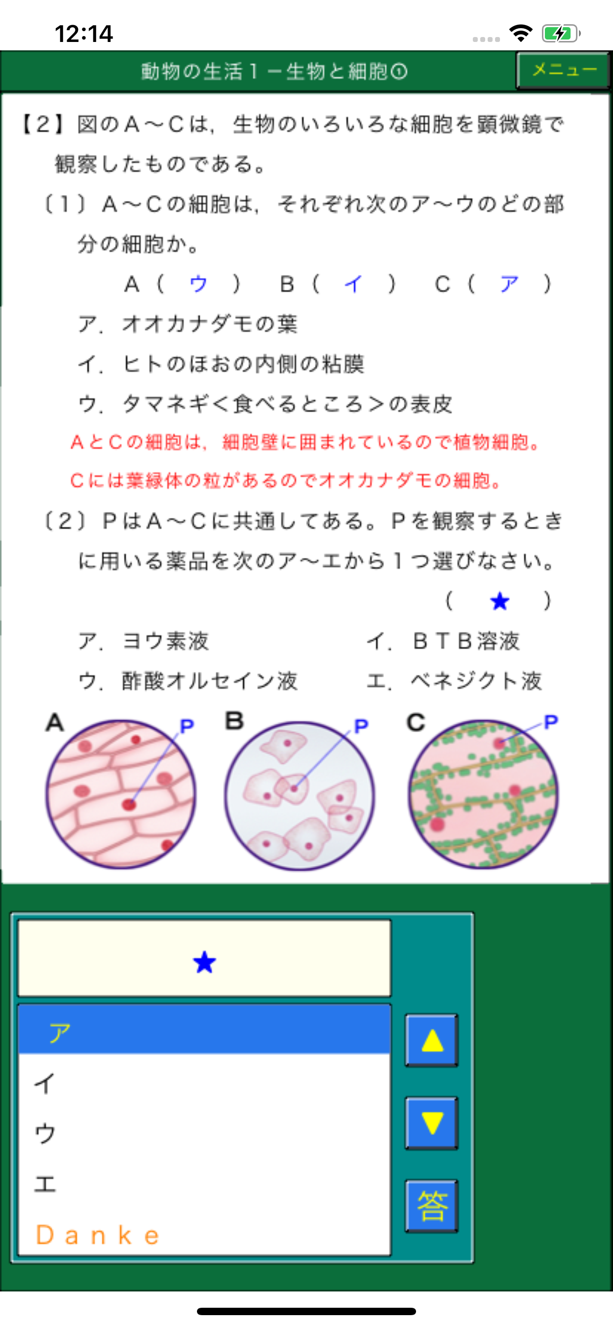 ダンケ理科中学２年