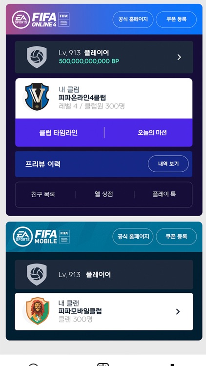 FIFA 공식 도우미