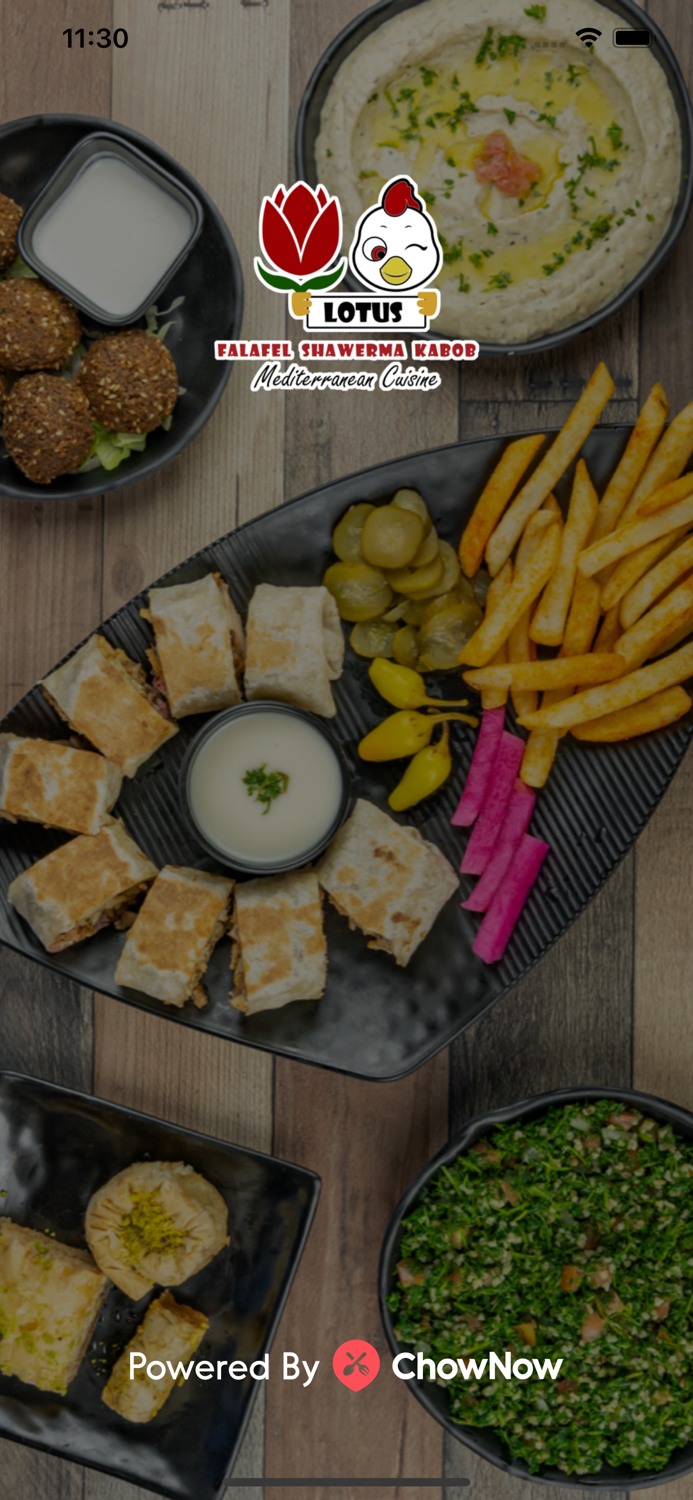 Lotus Falafel and Shawerma