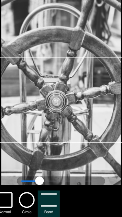Black and White Picture Camera screenshot-5