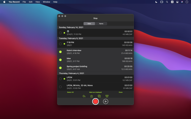 ‎You Record Pro Screenshot