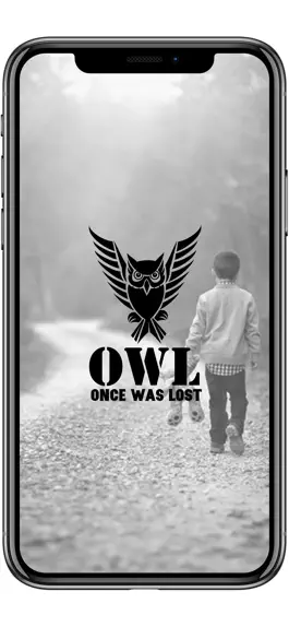 Game screenshot Owl - Once Was Lost mod apk