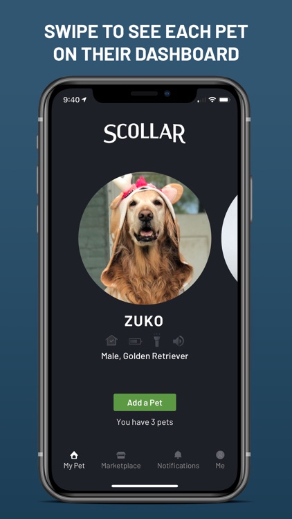 Scollar Personalized Pet Care