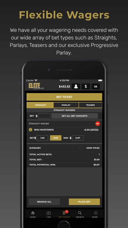ELITE Sportsbook screenshot-5