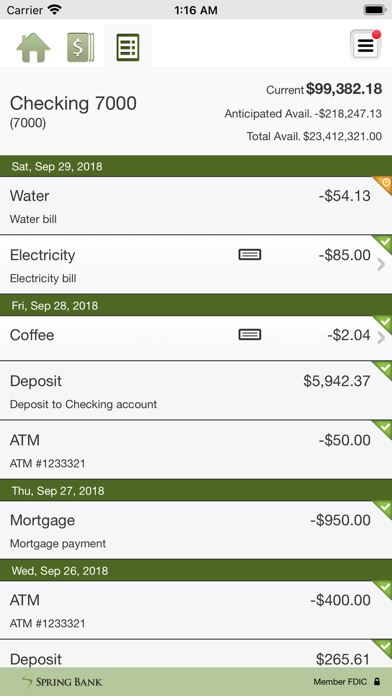 Spring Bank Business Screenshot