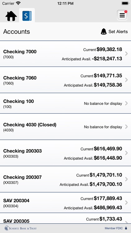 Schertz Bank & Trust Business screenshot-3