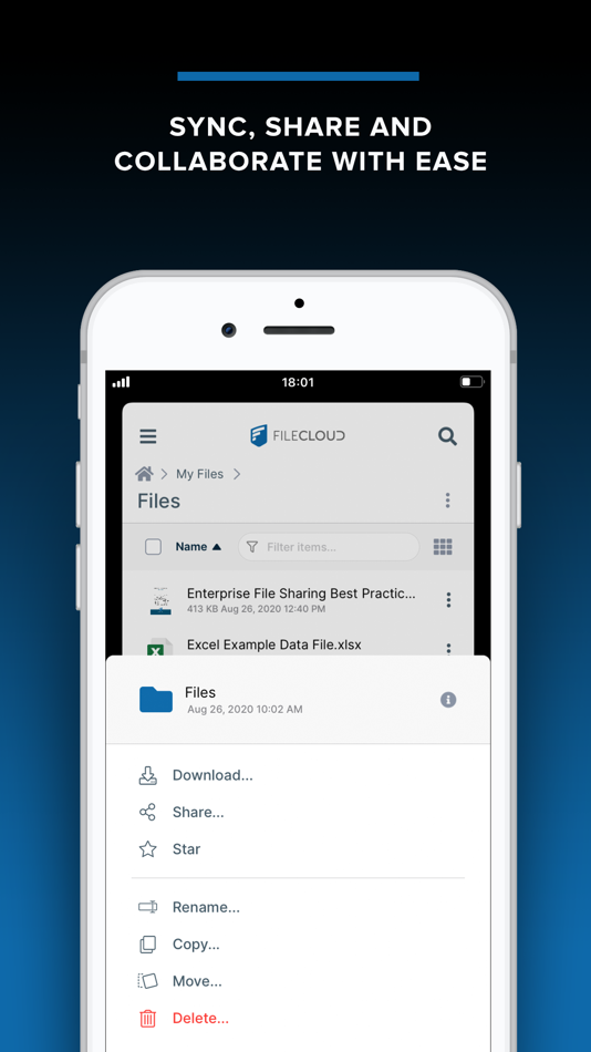 #2. FileCloud (iOS) By: CodeLathe Technologies Inc