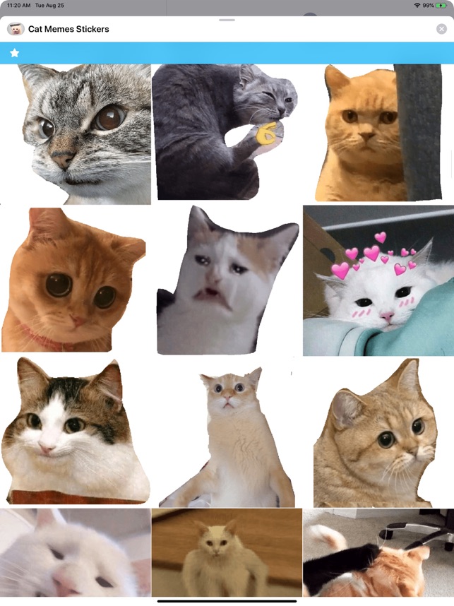 Cat Meme Stickers