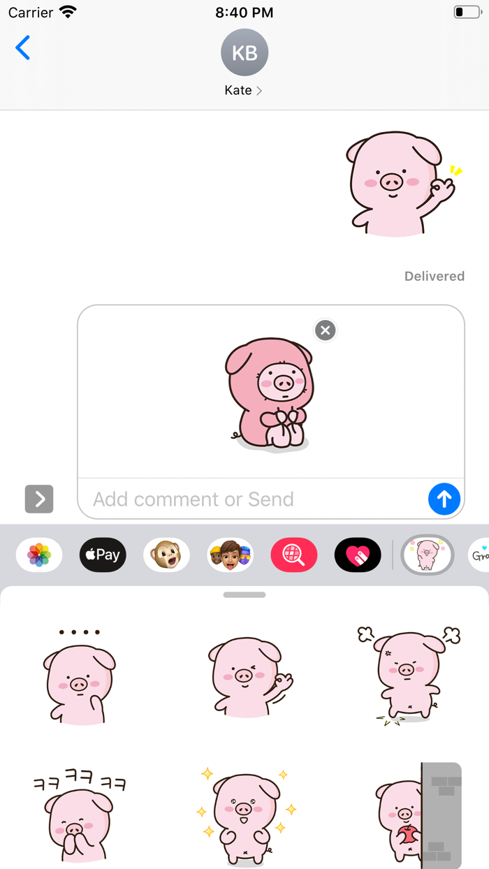 Cutie Lovely PinkPig