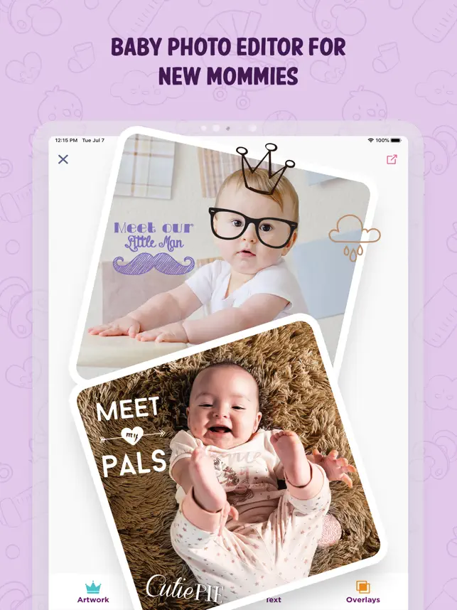 Baby Art-Baby Monthly Pictures Logo