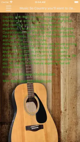 Game screenshot Country Vinyl Radio hack