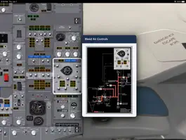 Game screenshot B737 cockpit hack