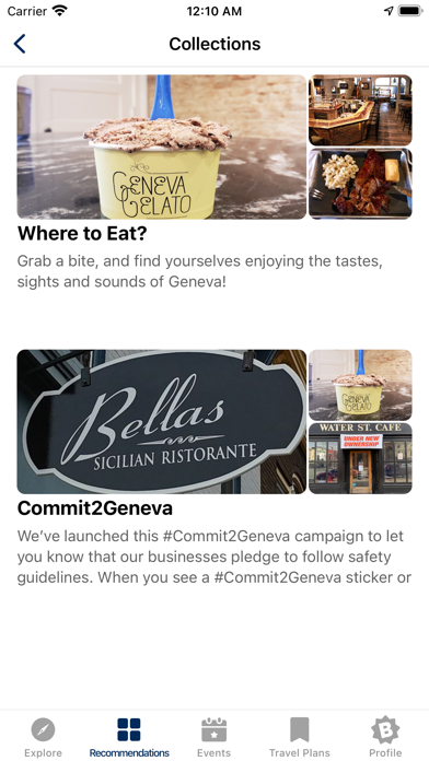 Geneva BID Screenshot