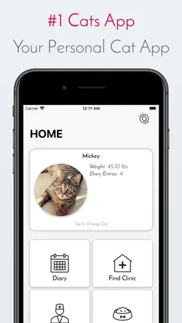 Game screenshot Kitty App - Care my Cat mod apk