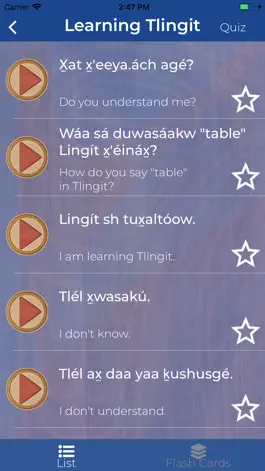 Game screenshot SHI: Learning Lingít hack