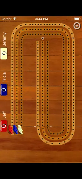 Game screenshot Cribbage Pegboard mod apk