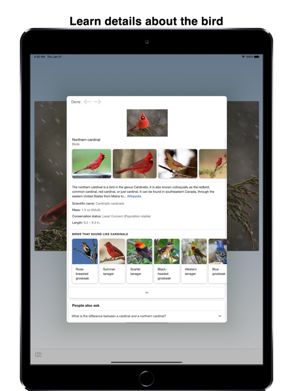 Screenshot #5 pour Bird ID: Use AI to id birds