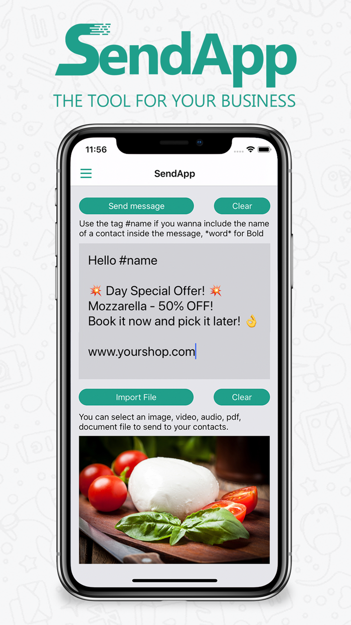 SendApp Professional