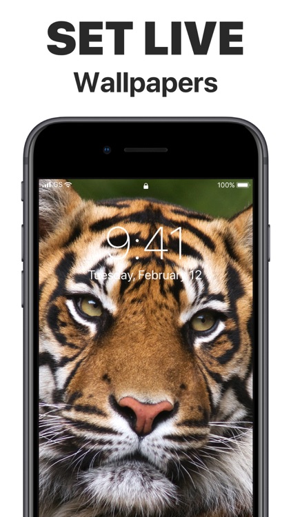 App Icons – Widget & Wallpaper screenshot-5