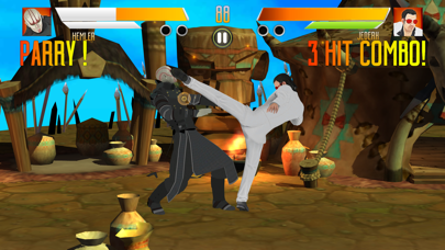 Kung-Fu 2 Screenshot
