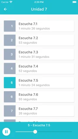 Game screenshot Fiesta - educate.ie hack