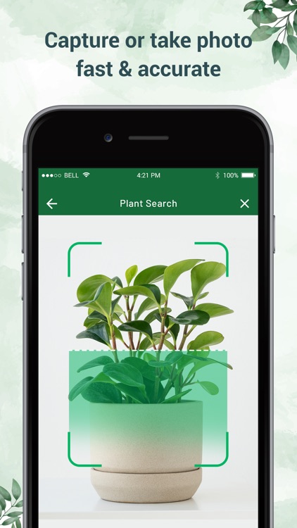 Plant Identifier - Plant ID screenshot-3