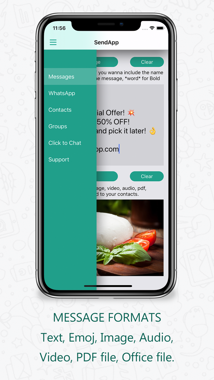 SendApp Professional