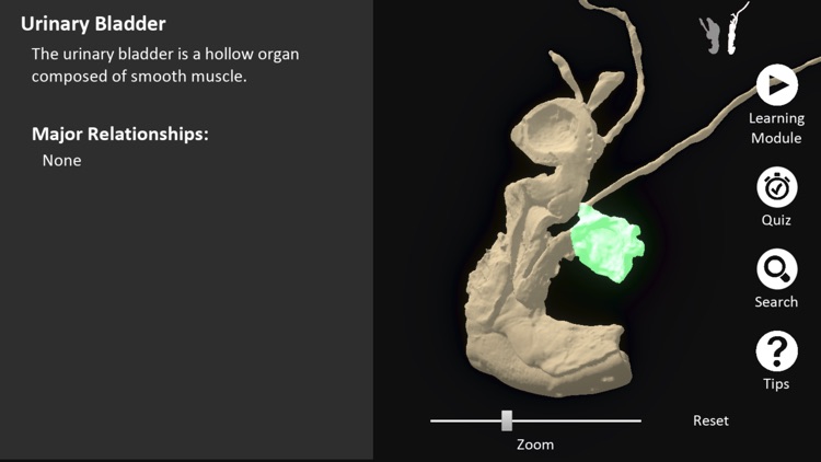 DigitalFemaleRepro screenshot-3