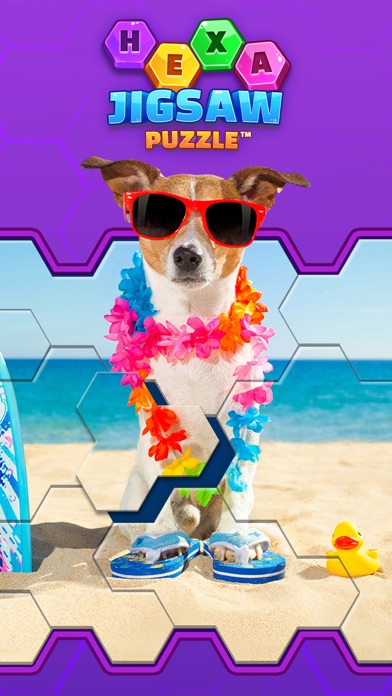 Hexa Jigsaw Puzzle ® screenshot1