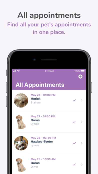 Animal Hospital at Tatum Ranch Screenshot