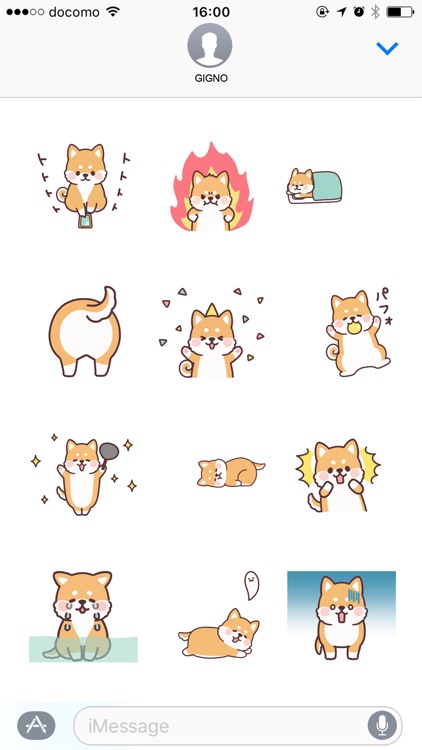 fluffy fat Shiba anime2