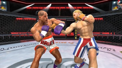 Real Punch Boxing Revolution Screenshot