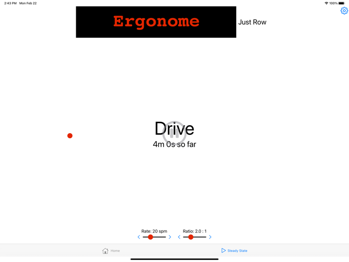 Ergonome Steady State