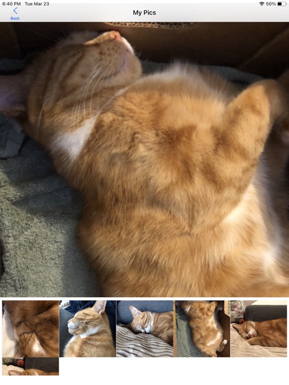 Screenshot #6 pour FindMyPics