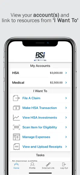 Game screenshot BSi Companies mod apk