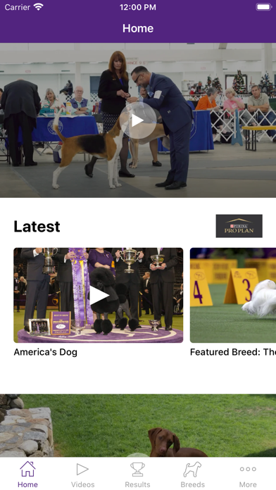 Westminster Dog Show Screenshot