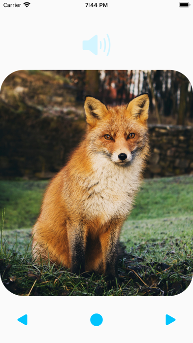Animal Sounds Player Screenshot