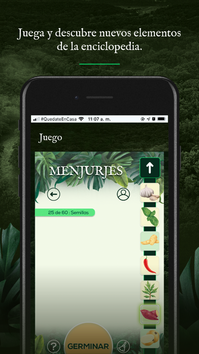 Destinos Antioquia Madre Selva Screenshot